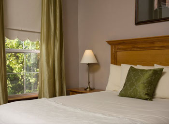 Room View